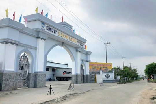 Thủy sản Bạch Linh: Hành trình lặng thầm góp phần xây dựng chuẩn mực cho tôm Việt