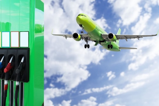 SAF for Air Cargo: Is the Bottleneck Technology or Feedstock?