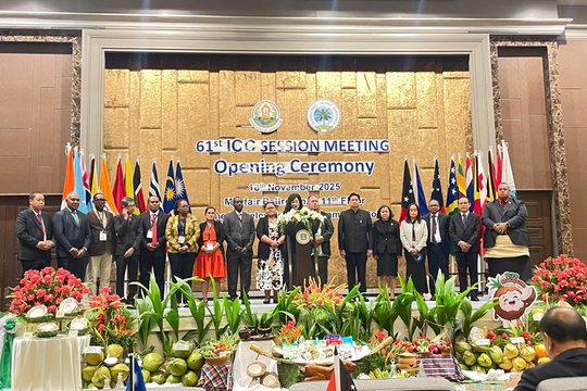 Thúc đẩy các tiêu chuẩn và đổi mới vì một ngành công nghiệp dừa toàn cầu bền vững