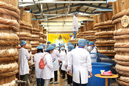 Masan Consumer làm gì để đưa sản phẩm Việt vào các chuỗi bán lẻ quốc tế?