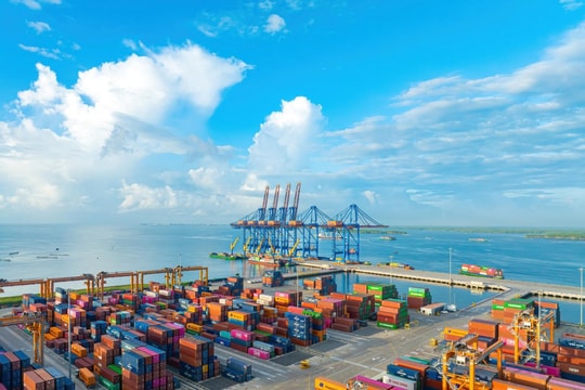 Have Container Rates Hit a “New Bottom”? Should We Re-negotiate 2026 Contracts Now?