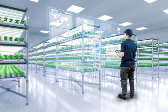 Chuỗi lạnh APAC tăng tốc: doanh nghiệp nên “khóa” công suất ở đâu để bứt phá?