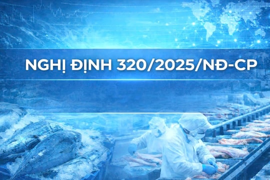 Nghị định 320/2025/NĐ-CP: Khi chính sách thuế đi cùng nhịp thở của ngành chế biến thủy sản