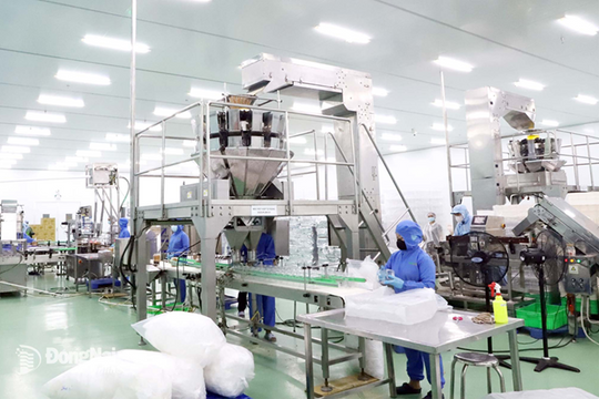 Phát triển cây công nghiệp gắn với vùng nguyên liệu chế biến