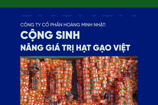 Công ty Cổ phần Hoàng Minh Nhật: Cộng sinh nâng giá trị hạt gạo Việt