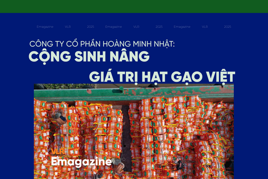 Công ty Cổ phần Hoàng Minh Nhật: Cộng sinh nâng giá trị hạt gạo Việt