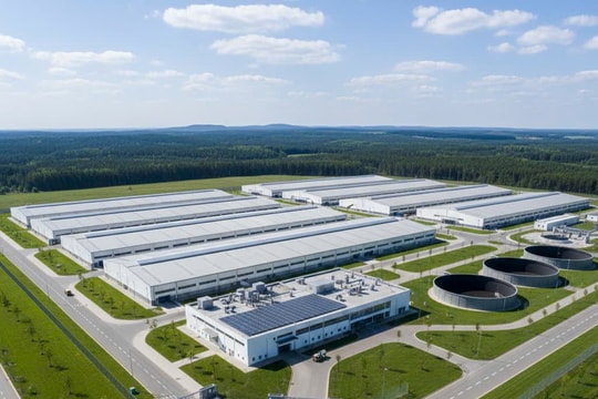 Xu hướng phát triển của ngành chăn nuôi heo Việt Nam trong giai đoạn mới