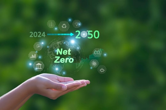 Logistics xanh và Net Zero: lộ trình giảm phát thải cho doanh nghiệp logistics Việt Nam