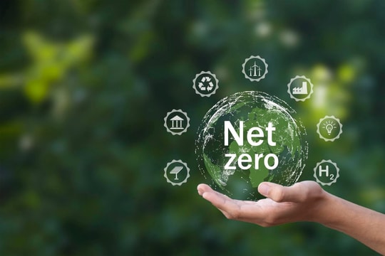 Green Logistics and Net Zero: A Decarbonization Roadmap for Vietnam’s Logistics Industry