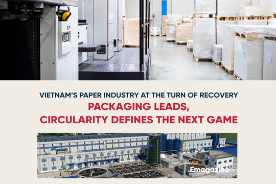 Vietnam’s Paper Industry at the Turn of Recovery: Packaging Leads, Circularity Defines the Next Game