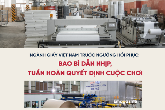 Ngành giấy Việt Nam trước ngưỡng hồi phục: Bao bì dẫn nhịp, tuần hoàn quyết định cuộc chơi