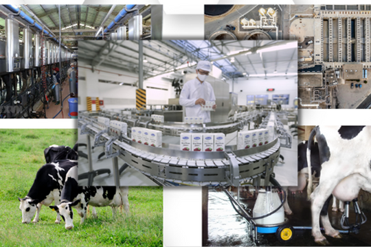 Chiến lược phát triển ngành sữa giai đoạn đến năm 2030, tầm nhìn đến năm 2045 