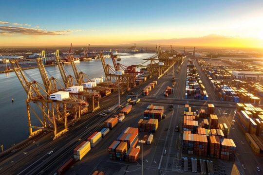 Vietnam in the New China+1 Race