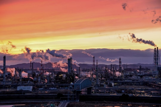 Khi chính trị can thiệp sâu vào dòng hàng