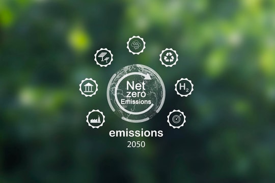 IMO Net-Zero và bài toán sống còn của vận tải biển