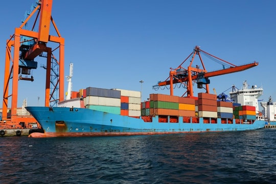 Green Fuels for Shipping: Who Pays the Bill?