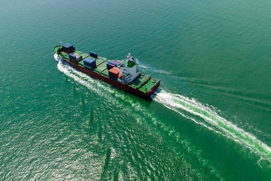 Green Seaports: Label or Real Capability?