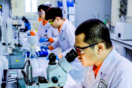 MSR hướng tới lợi nhuận cao nhất 2026, mở đường đạt tiền mặt ròng và chia cổ tức