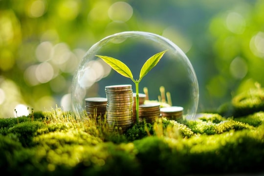 Green Finance for Logistics: Which Capital Flows Are Opening Up?