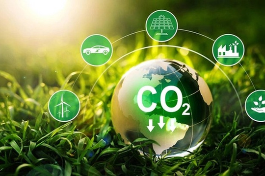 Quy định về dịch vụ hấp thụ và lưu giữ carbon của rừng