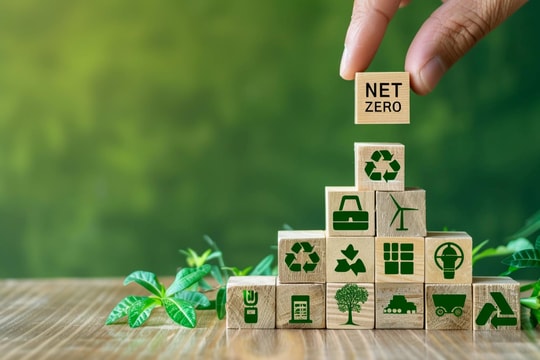 Is Green Procurement Making Supply Chains Harder - or Stronger?