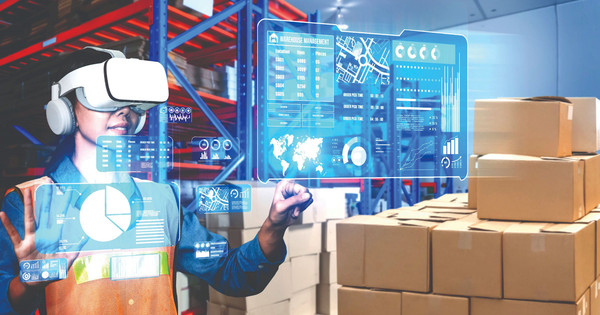 Logistics simulation and specific characteristics of Vietnamese