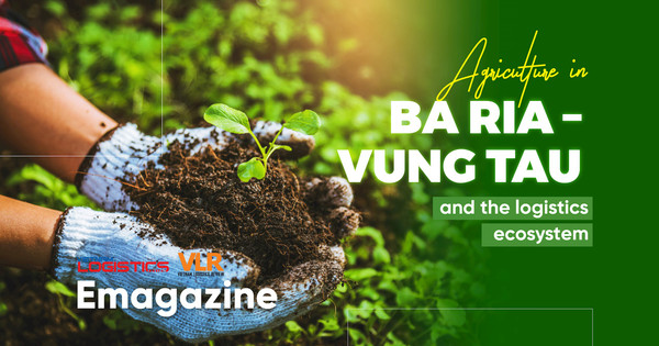 Agriculture in Ba Ria – Vung Tau and the logistics ecosystem