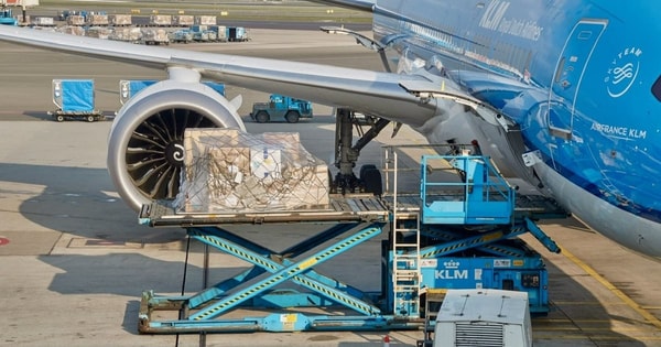 Ngành hàng tải không được mong đợi sẽ có "mùa cao điểm" vào cuối năm