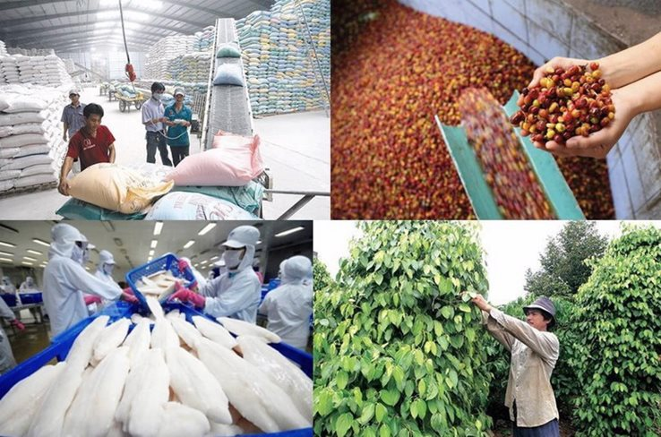 Triển khai chương trình tín dụng 100.000 tỷ đồng đối với lĩnh vực nông, lâm, thủy sản