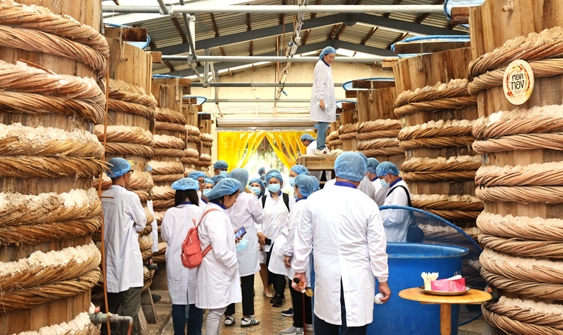 Masan Consumer làm gì để đưa sản phẩm Việt vào các chuỗi bán lẻ quốc tế?