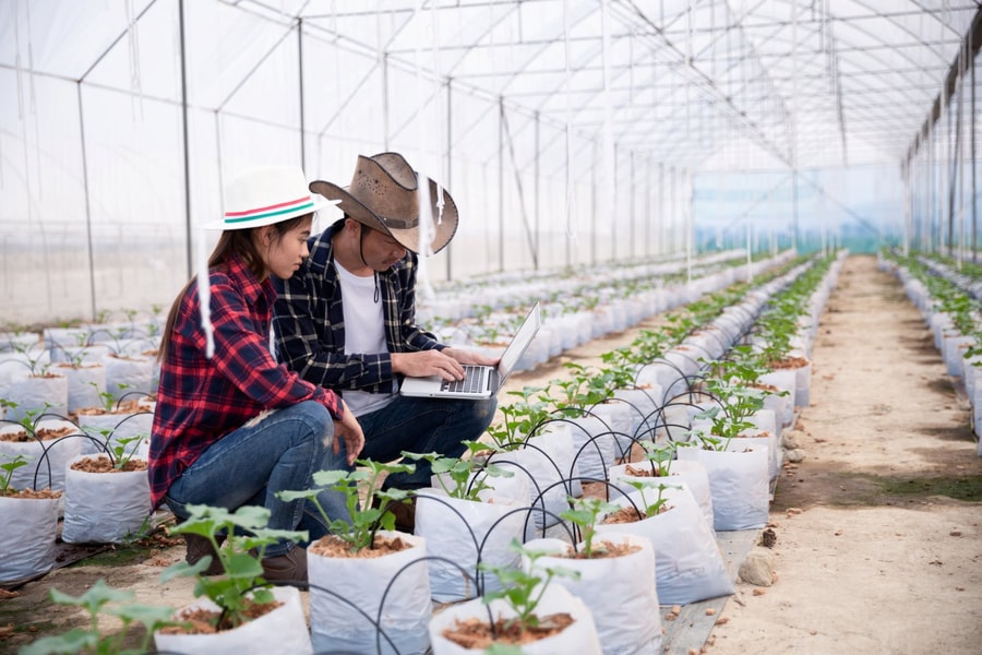 Logistics cho nông sản chế biến sâu: Làm sao giữ giá trị ở lại Việt Nam?