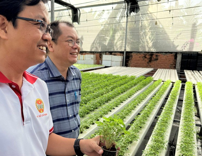 "Trụ đỡ" nông nghiệp trước áp lực giá: Cần chuyển mạnh từ sản lượng sang giá trị